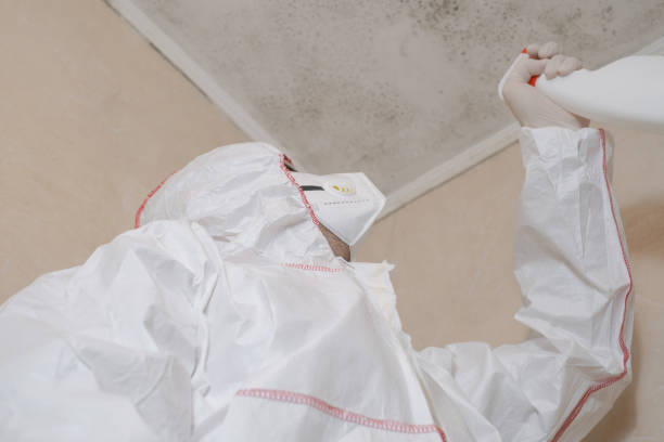 Best Mold Damage Repair  in Walker, MI